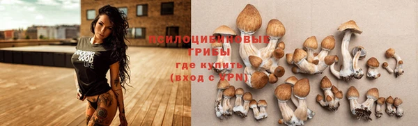 прущая мука Бугульма