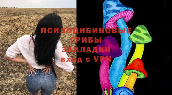 ALPHA PVP Верея