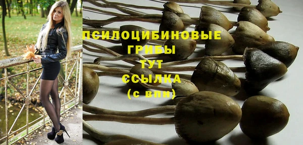 ГАЛЛЮЦИНОГЕННЫЕ ГРИБЫ Бронницы