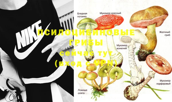 синтетический гашиш Бородино